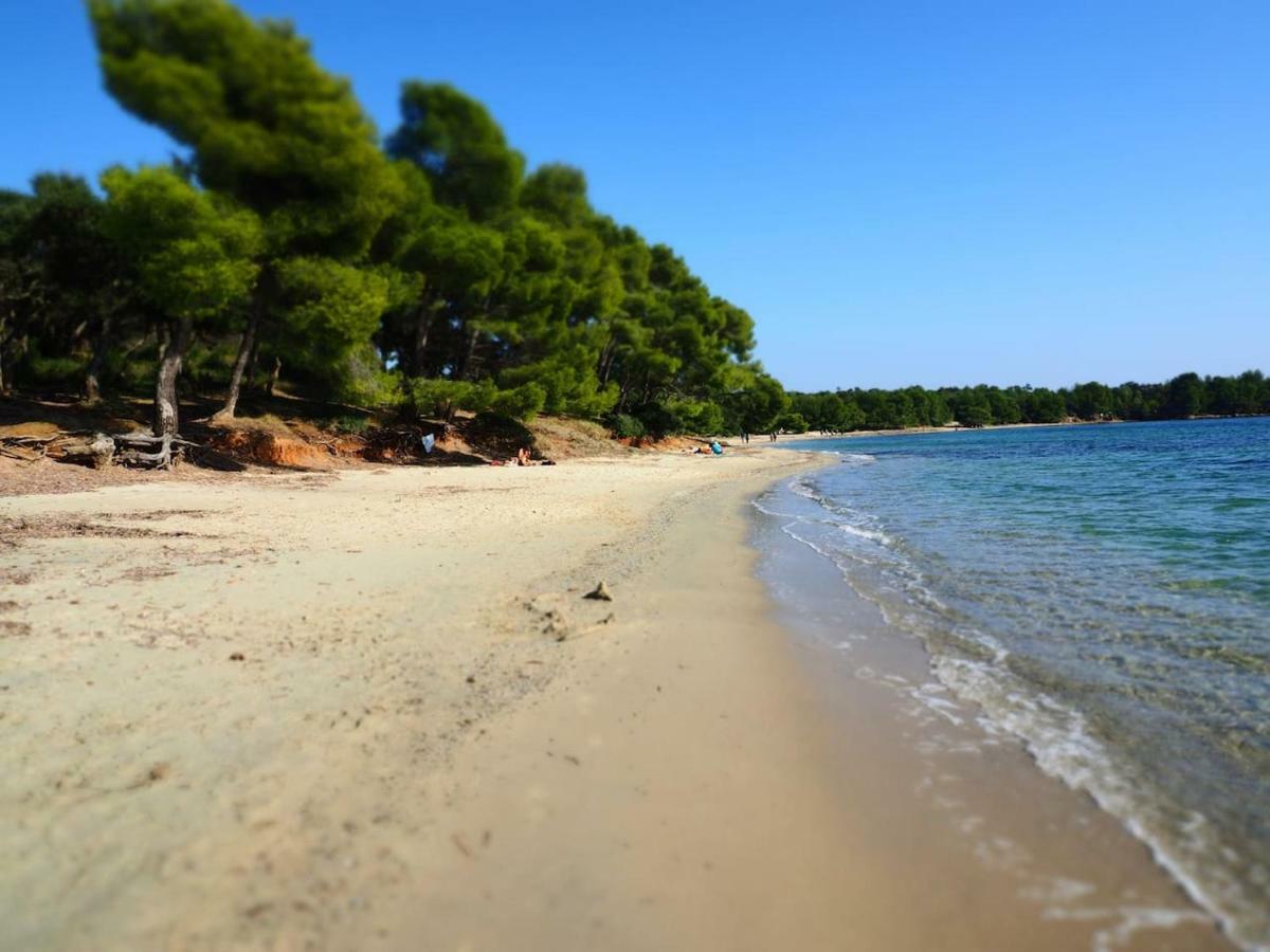 La Londe La Mer : Appartement Proche Plages & Vue Superbe Sur Les Iles D'Or Exterior foto